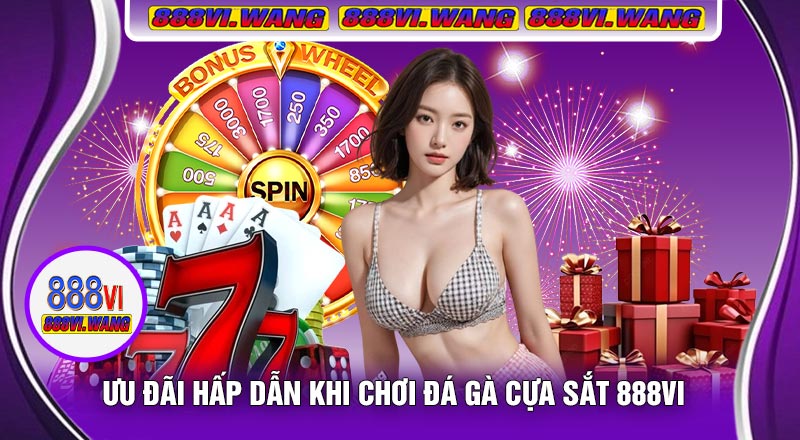 Ưu Đãi Hấp Dẫn Khi Chơi Đá Gà Cựa Sắt 888vi