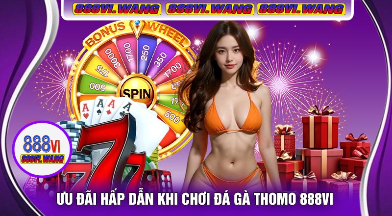 Ưu Đãi Hấp Dẫn Khi Chơi Đá Gà Thomo 888vi
